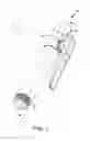 Fig. 02 - LIQUID DISPENSER WITH INTERNAL HELICAL SCREW