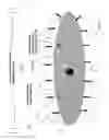 Fig. 14 - Method and system for robotic positioning