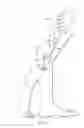 Fig. 02 - Personal grooming assistant