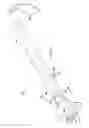 Fig. 03 - Personal grooming assistant