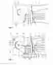 Fig. 02 - Device for separating a tubular web
