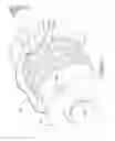 Fig. 08 - ROTARY TOOL EJECTION TECHNOLOGY