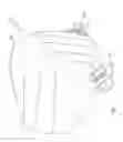 Fig. 08 - Recreational utility vehicle