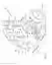 Fig. 16 - Recreational utility vehicle
