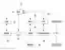 Fig. 01 - Apparatus and method for calculating regenerative braking amount of hybrid electric vehicle