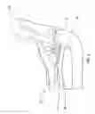 Fig. 07 - Child Restraint System With User Interface