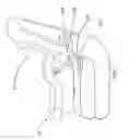 Fig. 10 - Child Restraint System With User Interface