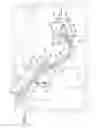 Fig. 04 - Bulkhead tether apparatus