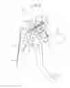 Fig. 05 - Vehicle brake device