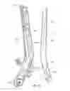 Fig. 31 - Shopping cart