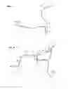 Fig. 04 - Front vehicle-body structure of vehicle