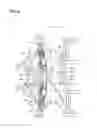Fig. 07 - Side-by-side all terrain vehicle including front cover