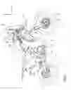 Fig. 02 - Handlebar fixing structure
