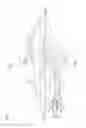 Fig. 02 - Jet propelled watercraft