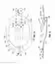 Fig. 10 - Submerged vortex generator