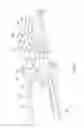 Fig. 06 - ARTICLE GROUPING & TRANSFER APPARATUS