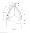 Fig. 31 - Packaging
