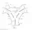 Fig. 02 - Systems and methods for forming self-supporting three-dimensional structures