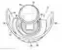 Fig. 01 - Splash shield for a fluid containment system of a vehicle