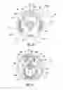 Fig. 21 - Cap for dispensing liquids or gels