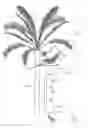 Fig. 01 - DEBRIS CHUTE