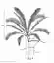 Fig. 05 - DEBRIS CHUTE