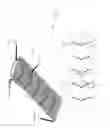 Fig. 03 - Cleated conveyor belt