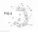 Fig. 04 - FRUIT AND VEGETABLE TRANSPORT SYSTEM FOR A HARVESTING MACHINE AND HARVESTING MACHINE THAT INCLUDES SAID SYSTEM