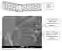 Fig. 01 - Purified carbon nanotubes