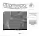 Fig. 02 - Purified carbon nanotubes