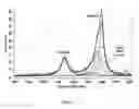 Fig. 04 - Purified carbon nanotubes