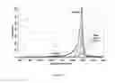 Fig. 12 - Purified carbon nanotubes