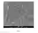 Fig. 13 - Purified carbon nanotubes
