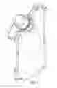 Fig. 07 - Roll-up water bottle with closure/filter assembly