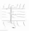 Fig. 04 - WATER FILTRATION DEVICES AND METHODS