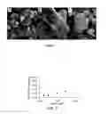 Fig. 02 - Methods of reducing ignition sensitivity of energetic materials
