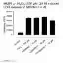 Fig. 16 - Curcumin analogues as zinc chelators and their uses