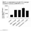 Fig. 17 - Curcumin analogues as zinc chelators and their uses