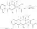 Fig. 21 - 3, 10, AND 12a SUBSTITUTED TETRACYCLINE COMPOUNDS