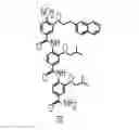 Fig. 01 - Oligo-benzamide compounds and their use in treating cancers