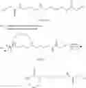 Fig. 02 - Augmenting moieties for anti-inflammatory compounds