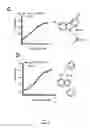 Fig. 03 - Modulation of K2P channels