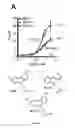 Fig. 07 - Modulation of K2P channels