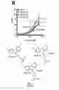 Fig. 08 - Modulation of K2P channels