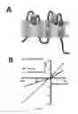Fig. 14 - Modulation of K2P channels
