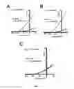Fig. 17 - Modulation of K2P channels