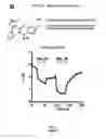 Fig. 22 - Modulation of K2P channels