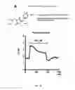 Fig. 23 - Modulation of K2P channels