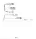 Fig. 26 - Modulation of K2P channels