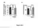 Fig. 07 - Benzimidazole derivatives and uses thereof